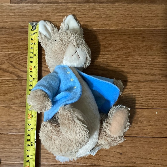 Peter Rabbit - P IS FOR PETER BOOK & PLUSH - Picture 14 of 14